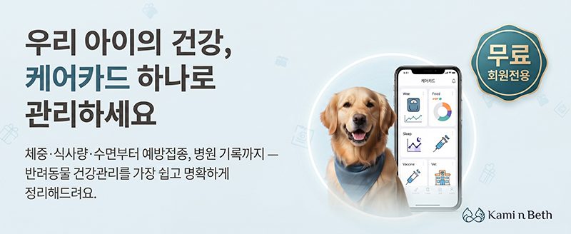 카미앤베스 배너 1