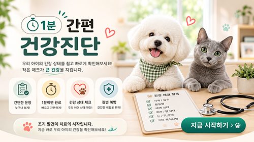 카미앤베스 배너 2